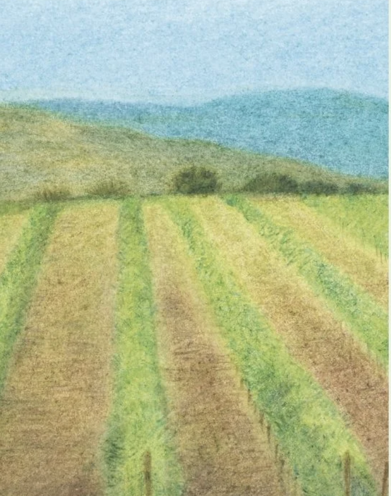 Vins amb ànima: Agricultura regenerativa